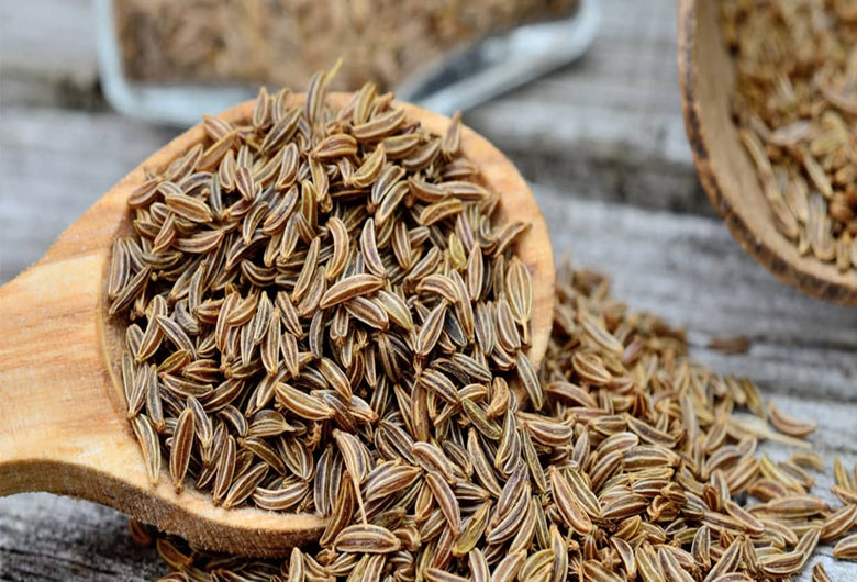 Caraway Seed for Digestive Comfort