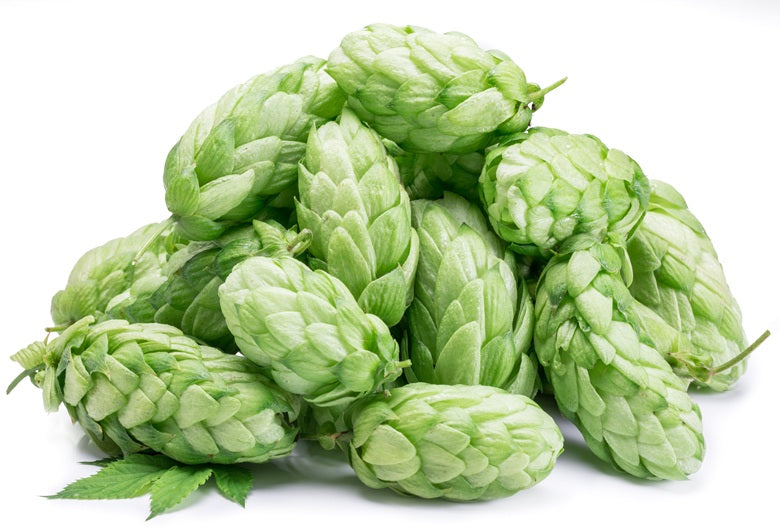 Hops: More Than Beer