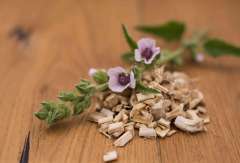 Marshmallow Root for Gut Health