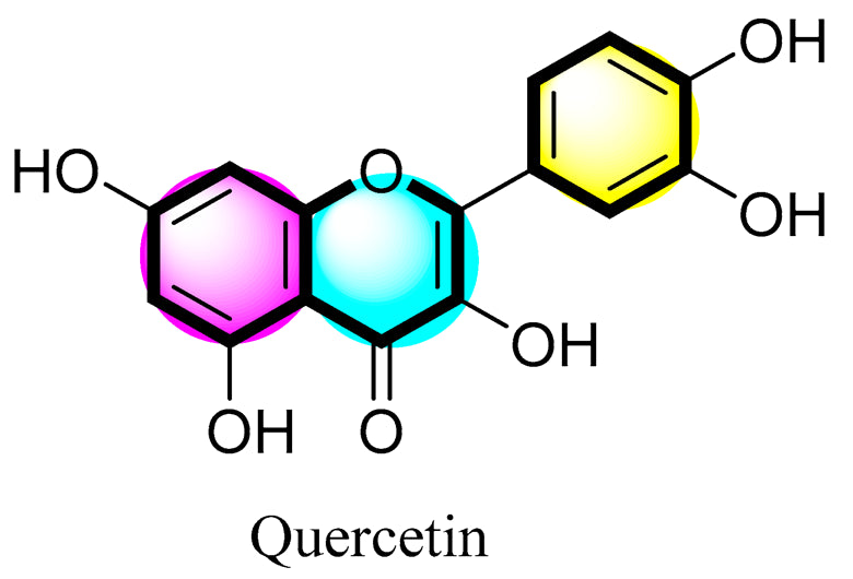 Quercetin: A Powerful Flavonoid