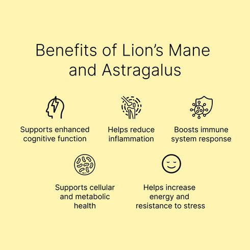 7:1 LION'S MANE + 10:1 ASTRAGALUS | Cognitive & Immune Support