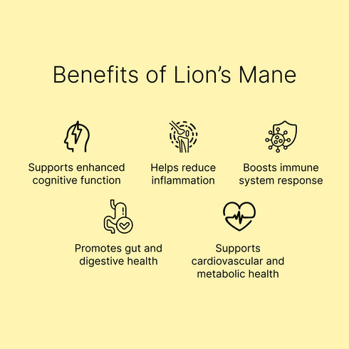 LION'S MANE  | High Potency Organic Mushroom Extract