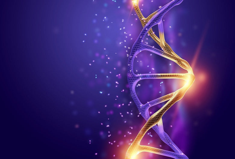 BDNF - Brain Derived Neurotropic Factor
