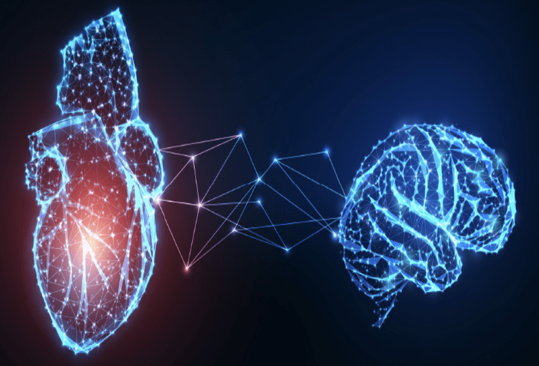 The Heart–Brain Connection